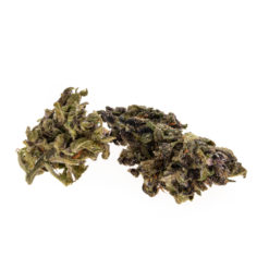 cbd-gras-premium-sugar-black-rose-#2-EU_buds_web