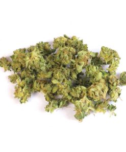 Amnesia Haze