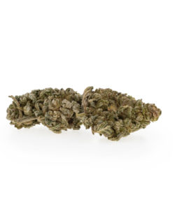 Premium Black Berry