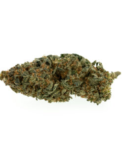 Premium Mango Kush
