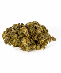 Premium Skywalker OG