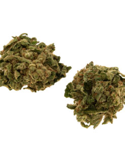 Sour Lemon