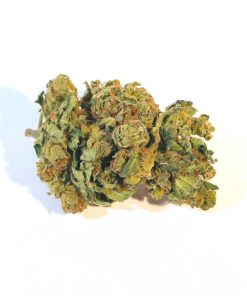 Sweet Amnesia
