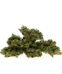 Sweet Amnesia
