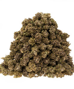 gras-cbd-black-domina_haufen_web